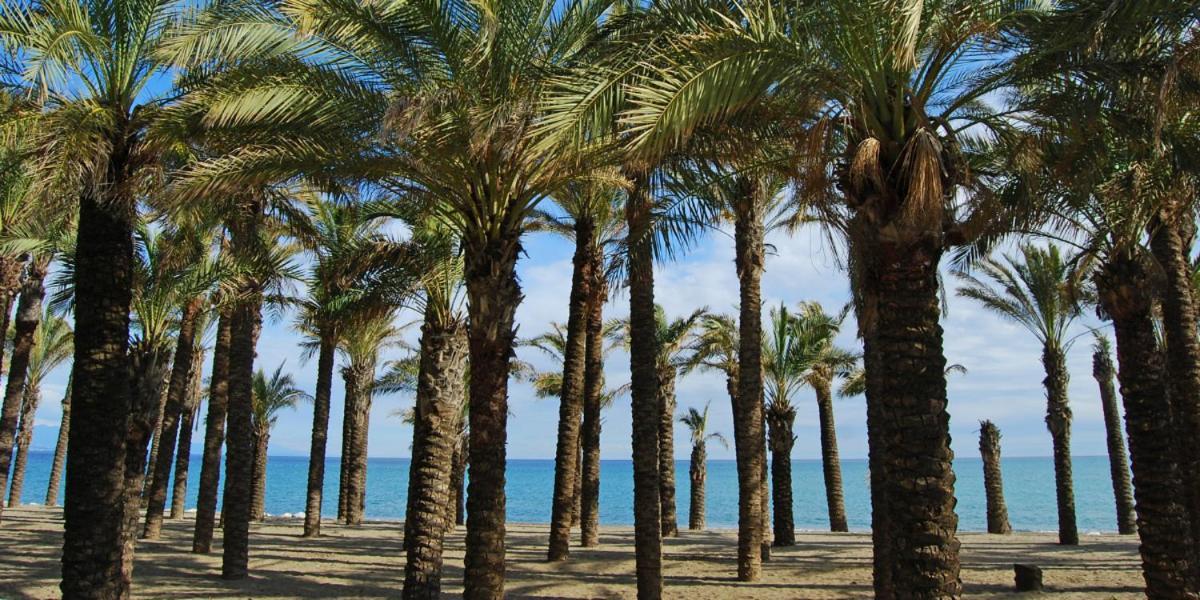 דירות Apartamento Carole Playa Bajondillo Torremolinos Beach - Playa A 30 Segundos - Wifi - Parking - Terraza מראה חיצוני תמונה