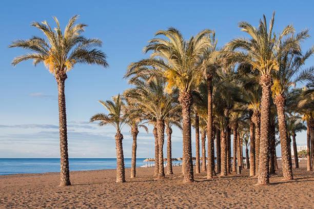 דירות Apartamento Carole Playa Bajondillo Torremolinos Beach - Playa A 30 Segundos - Wifi - Parking - Terraza מראה חיצוני תמונה